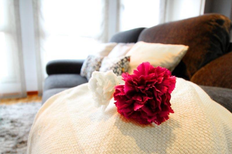 Alquiler de apartamento en Mieres Asturias