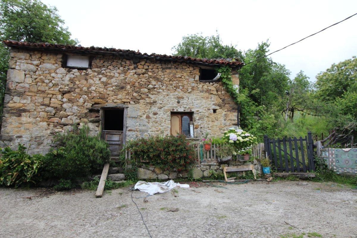 Venta de finca de recreo en Laviana