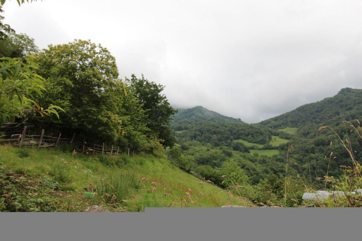 Venta de finca de recreo en Laviana