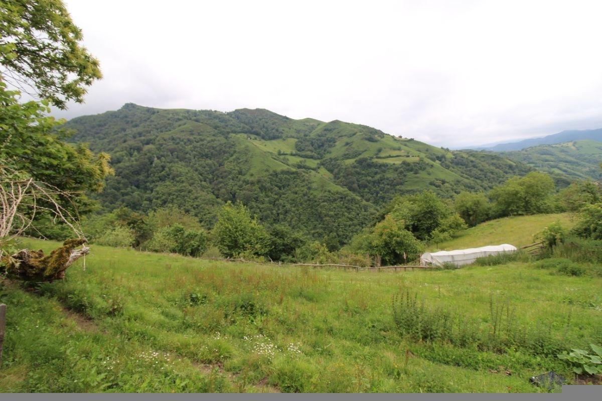Venta de finca de recreo en Laviana