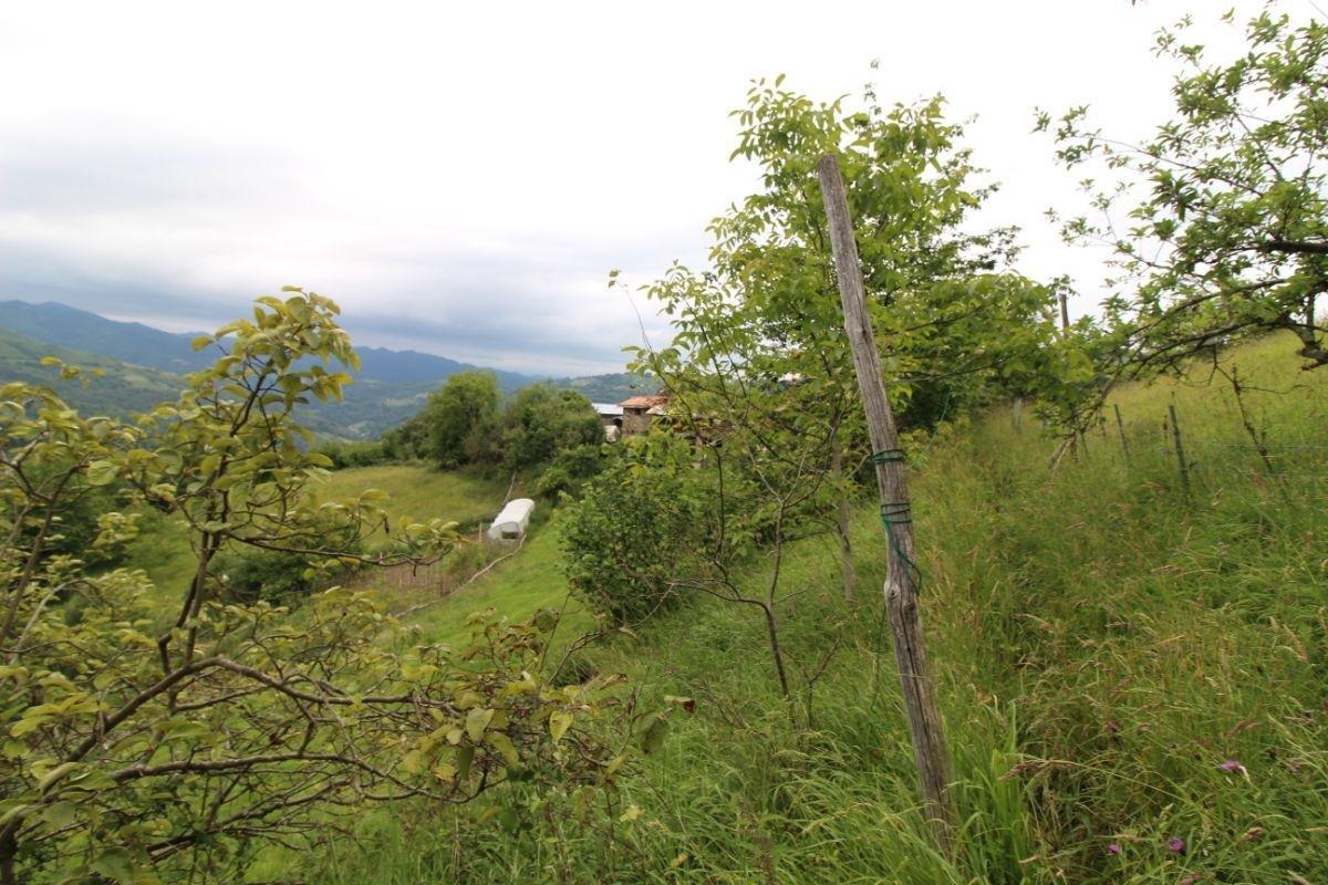 Venta de finca de recreo en Laviana