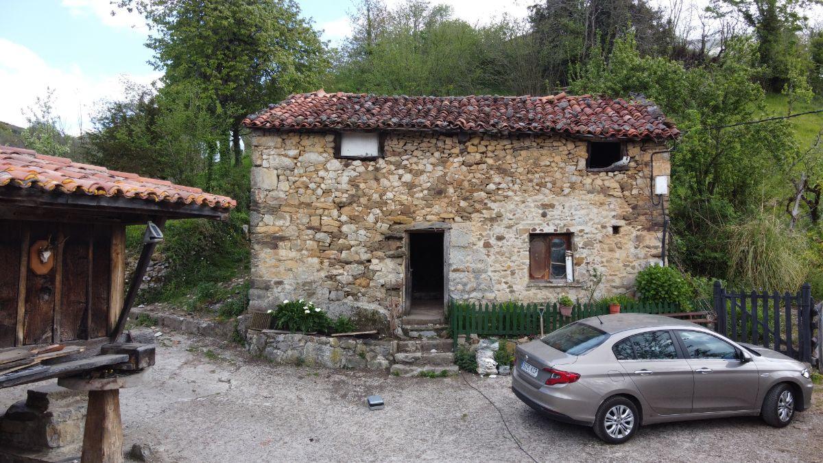 Venta de finca de recreo en Laviana