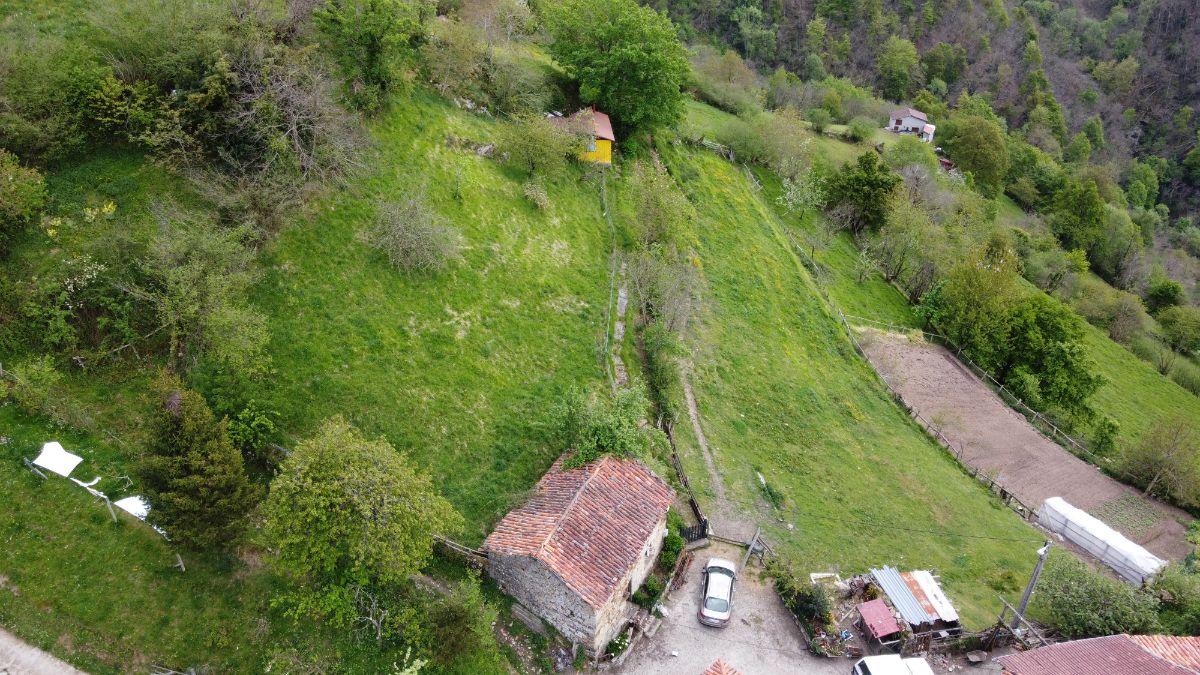 Venta de finca de recreo en Laviana