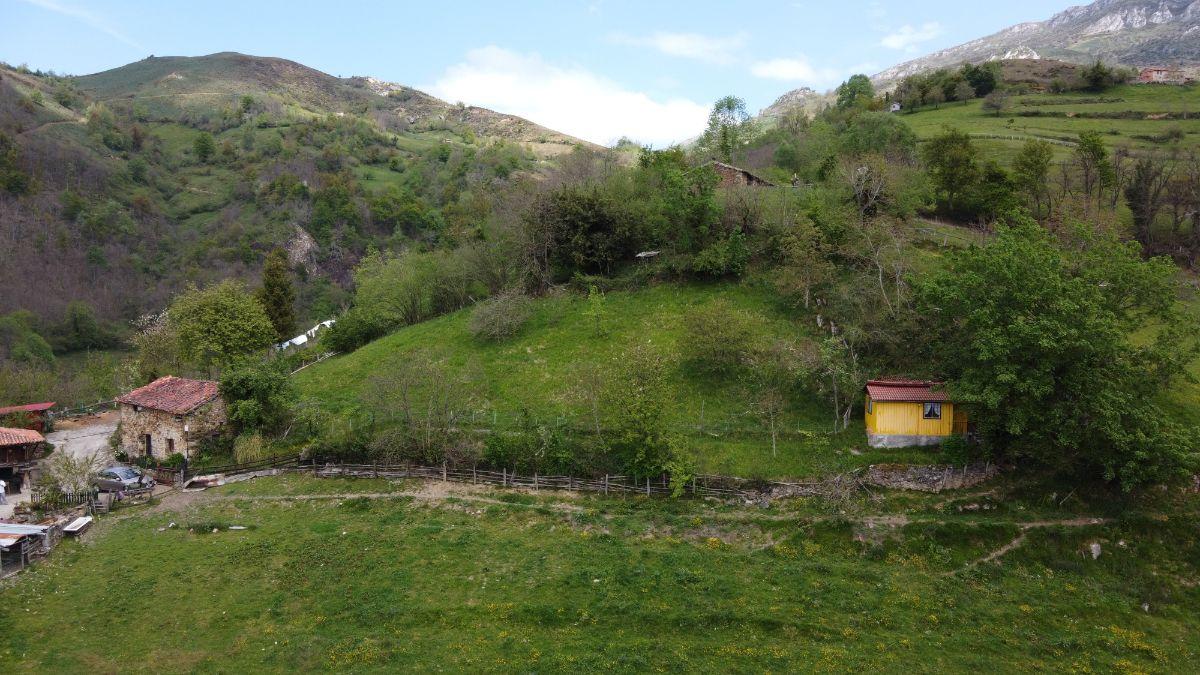 Venta de finca de recreo en Laviana