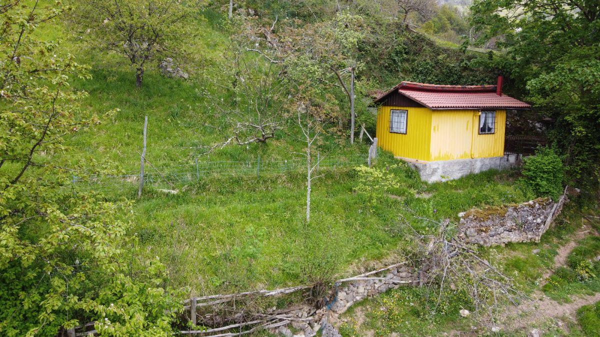 Venta de finca de recreo en Laviana