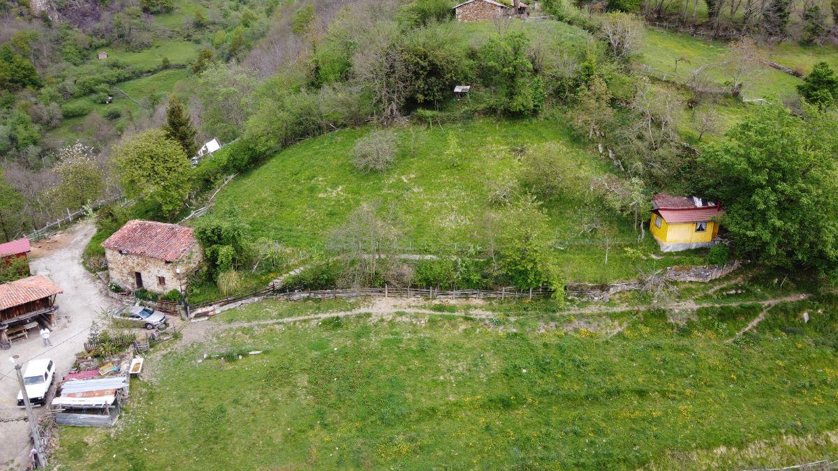 Venta de finca de recreo en Laviana