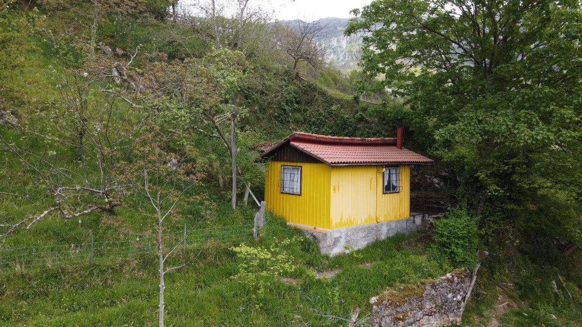 Venta de finca de recreo en Laviana