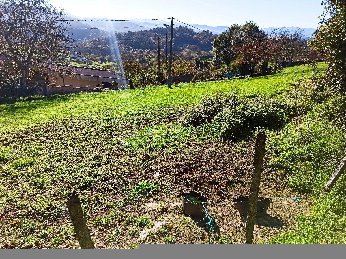 For sale of land in Siero