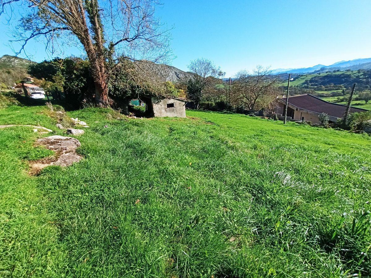 For sale of land in Siero