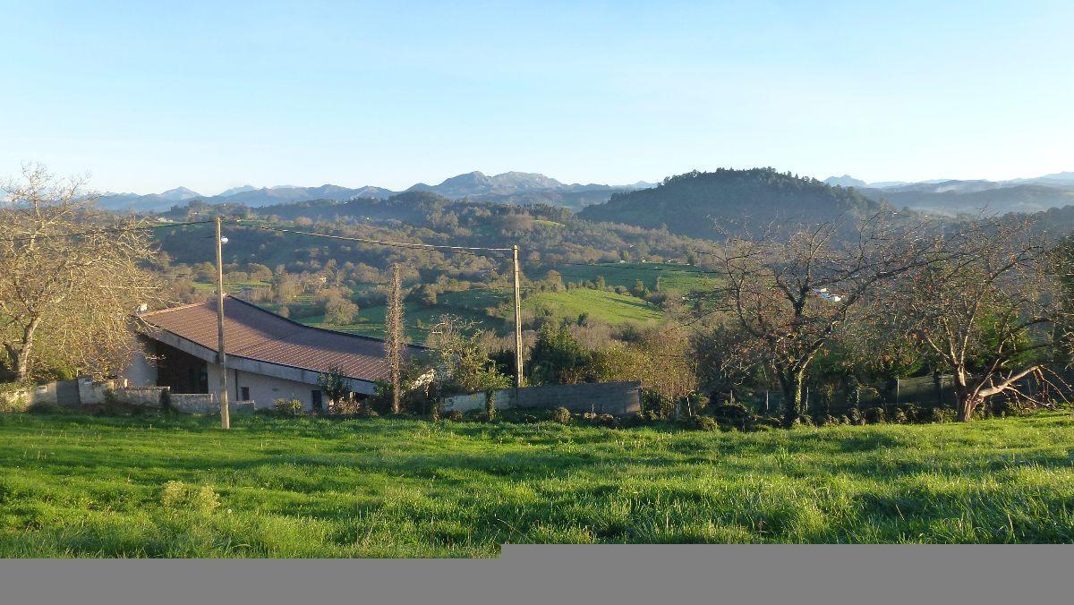 For sale of land in Siero