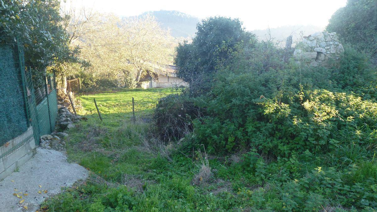 For sale of land in Siero