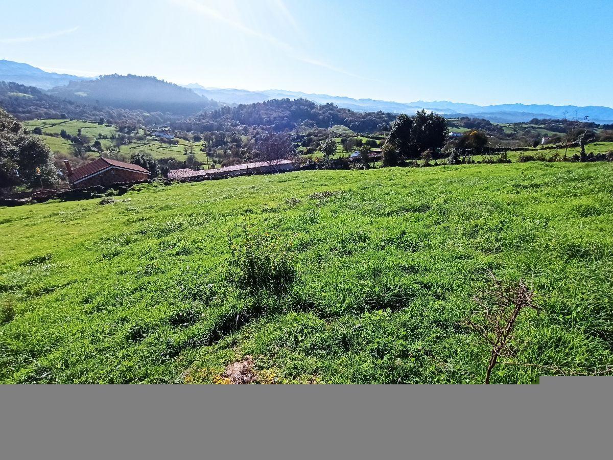 For sale of land in Siero