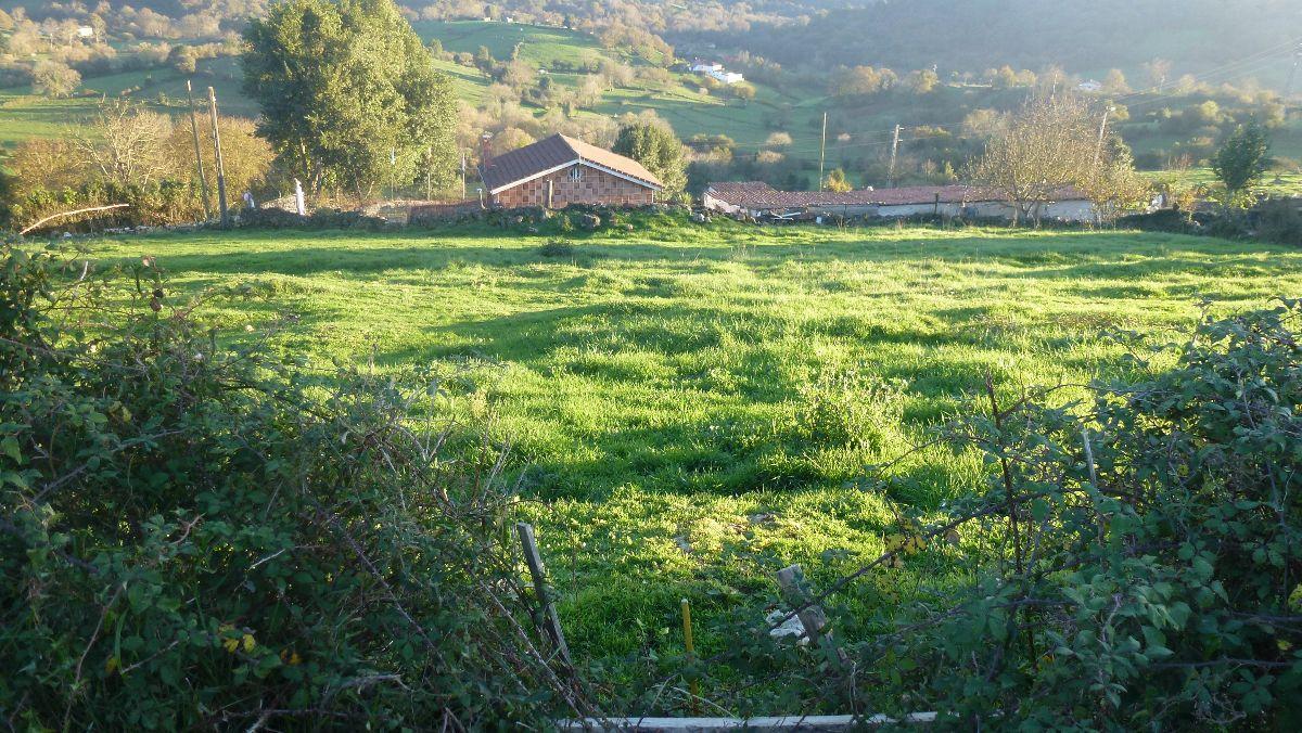 For sale of land in Siero