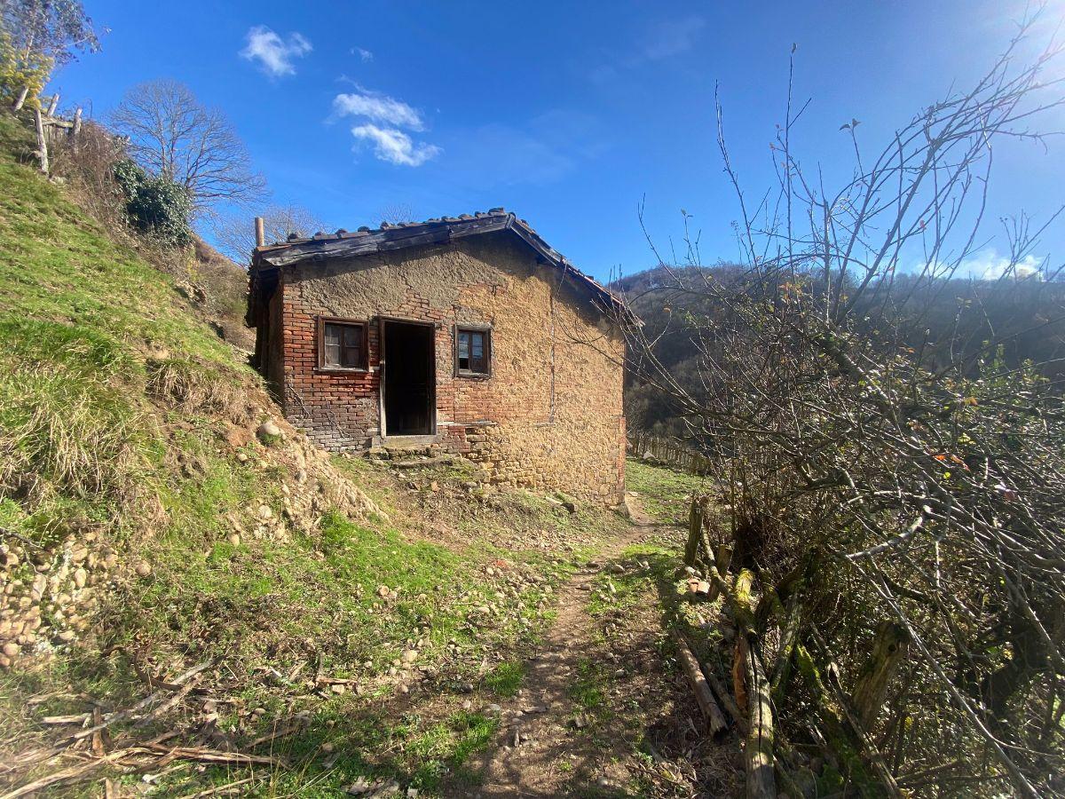 For sale of house in Mieres Concejo