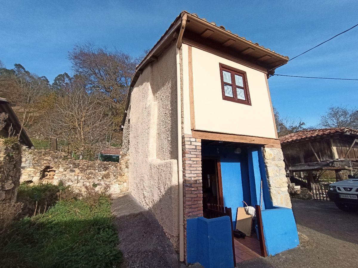 For sale of house in Piloña