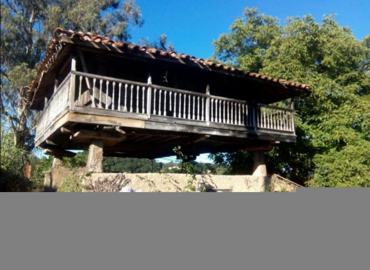For sale of house in Siero