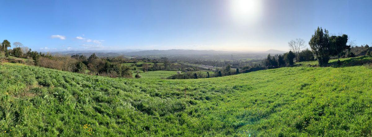 Venta de terreno en Siero