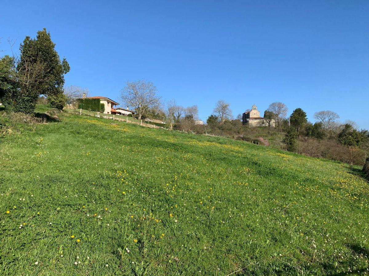 For sale of land in Siero