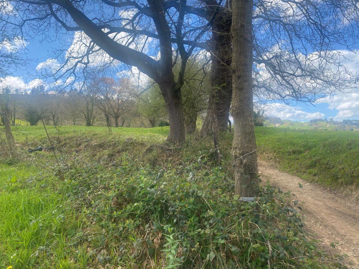 For sale of rural property in Siero