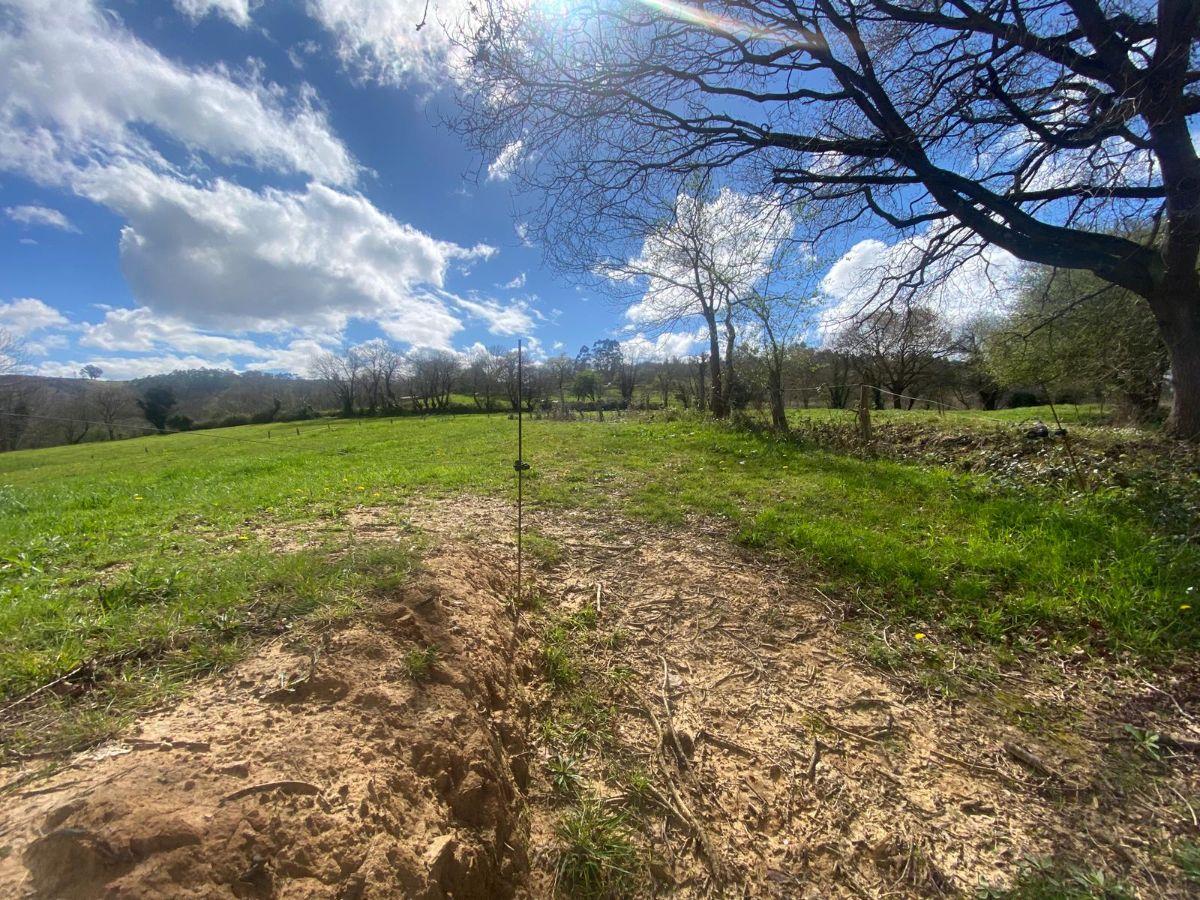 Venta de finca rústica en Siero