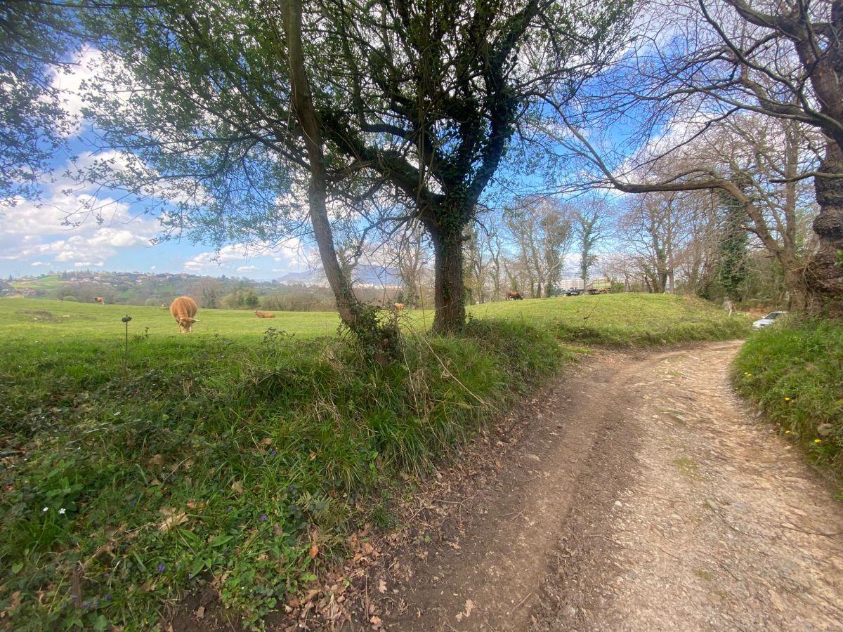 Venta de finca rústica en Siero