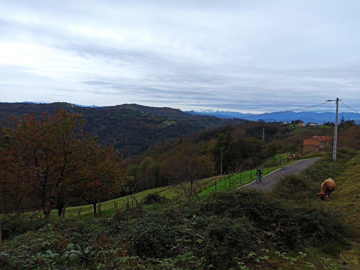 For sale of house in Siero