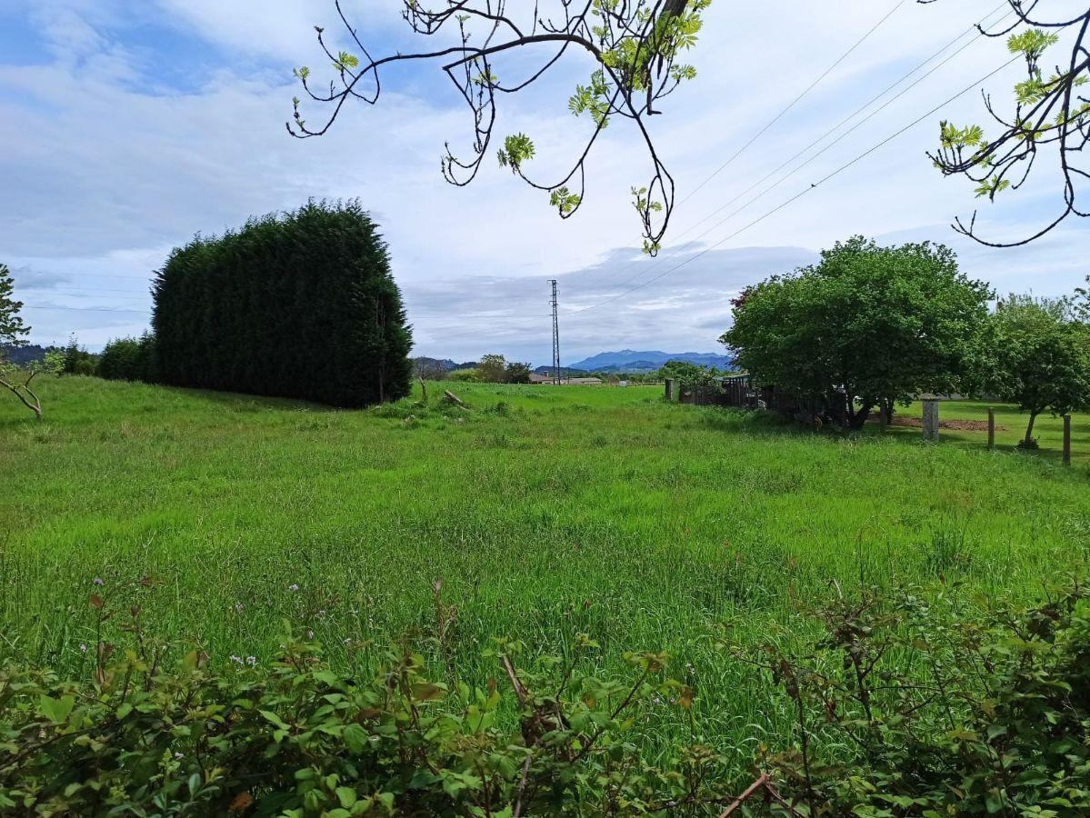 Venta de terreno en Nava