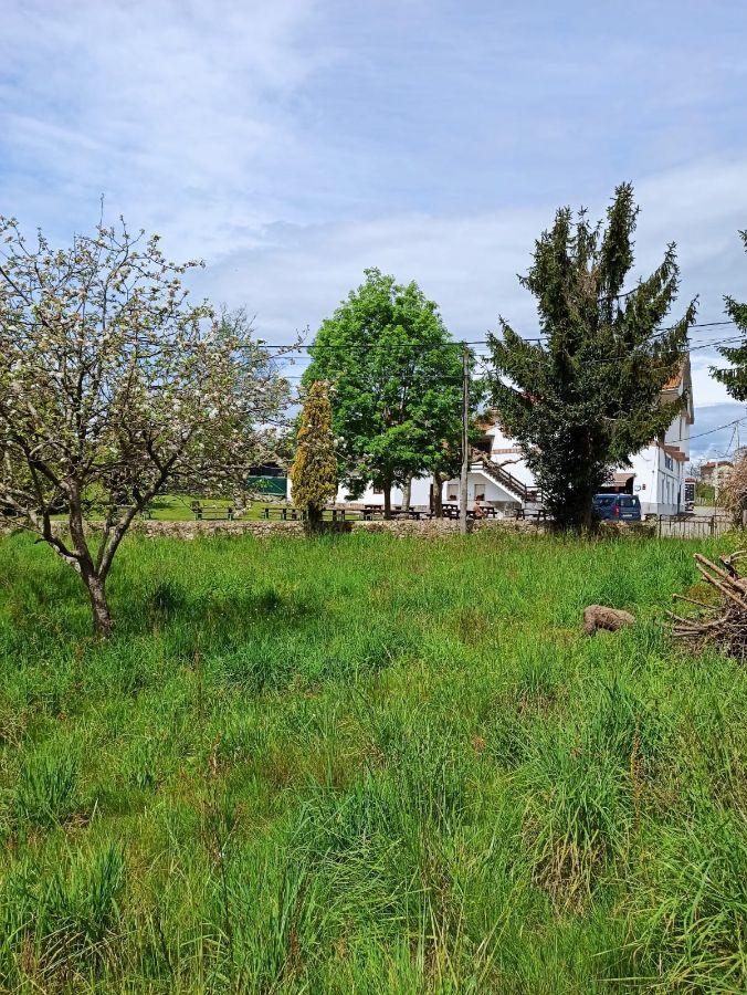 For sale of land in Nava