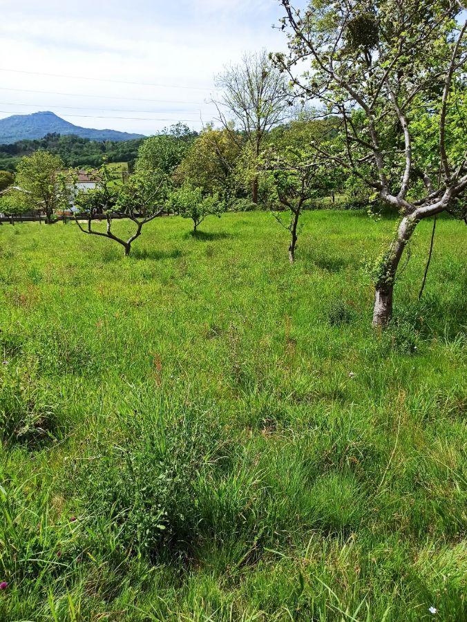 Venta de terreno en Nava