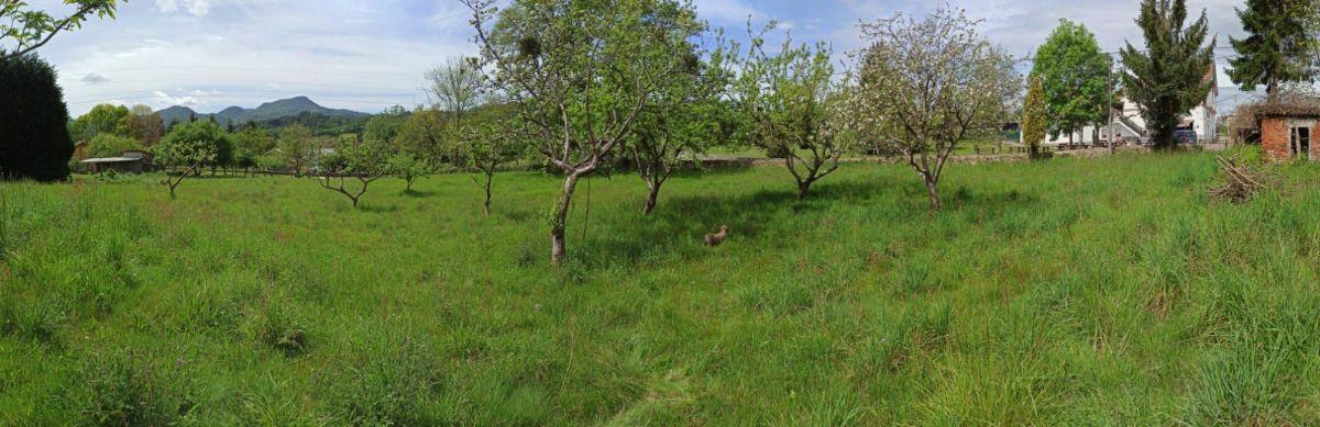 Venta de terreno en Nava