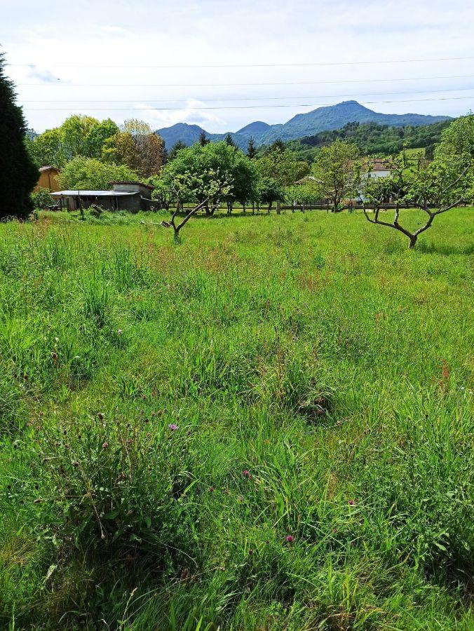 Venta de terreno en Nava