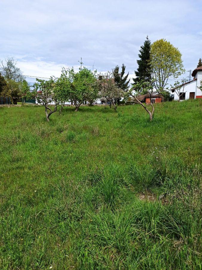 Venta de terreno en Nava