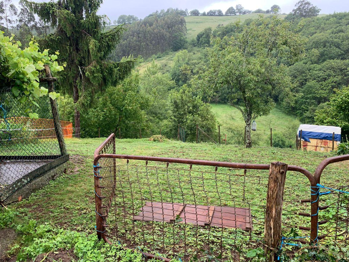 For sale of house in Sariego