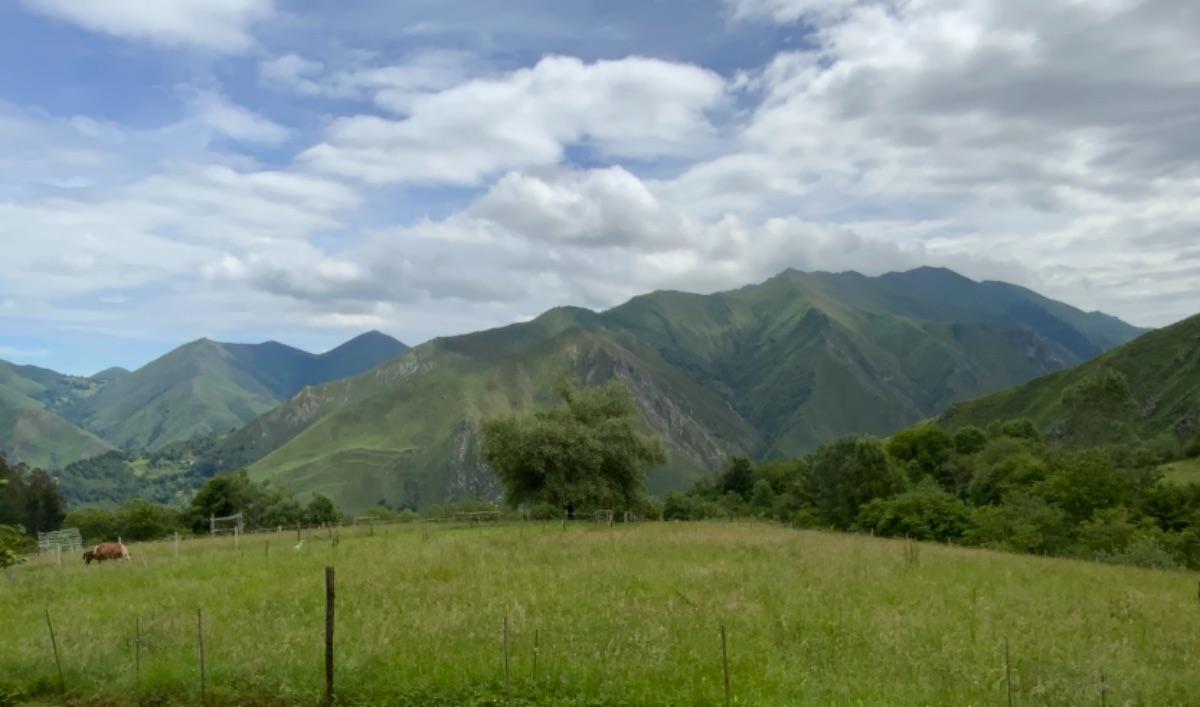 Venta de casa en Piloña