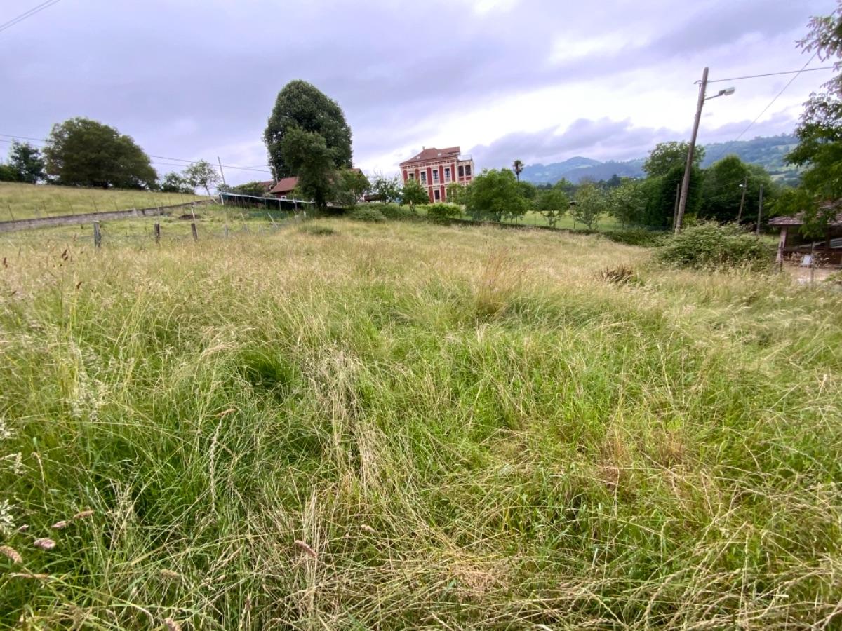 Venta de terreno en Piloña