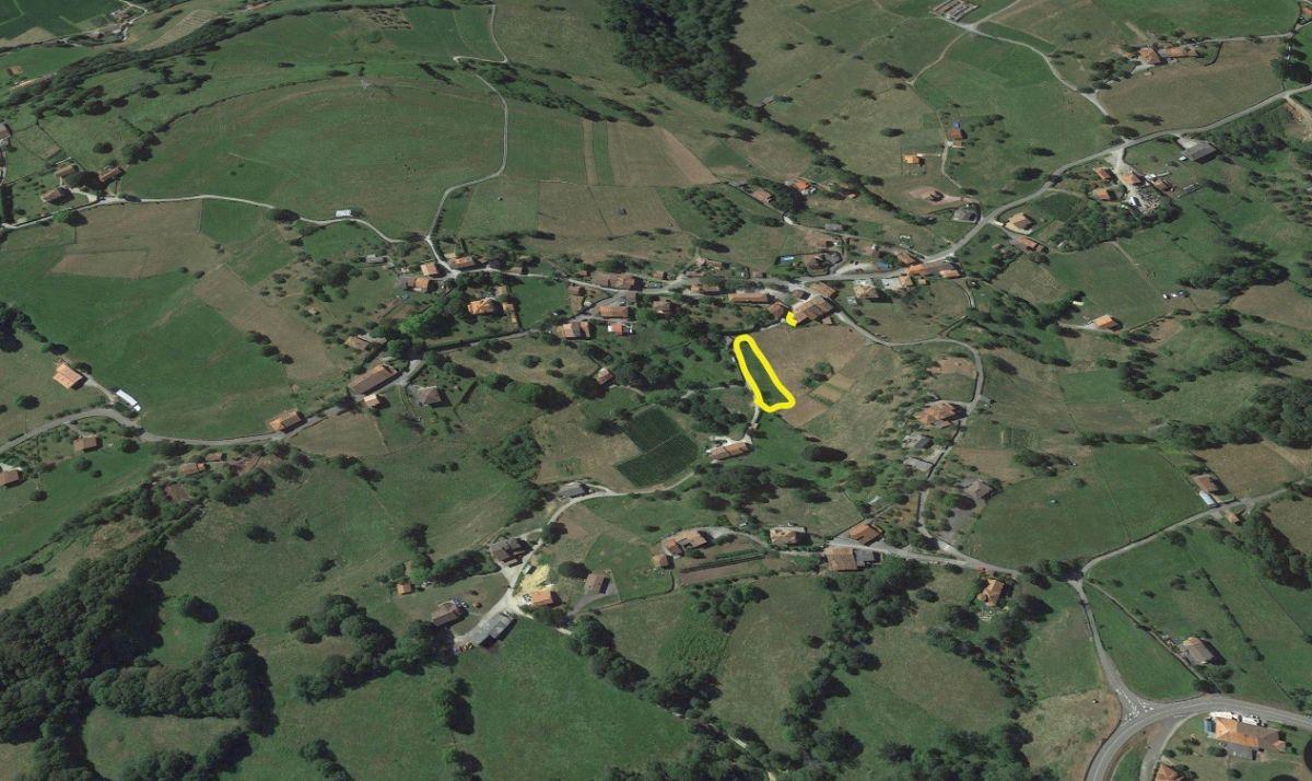 For sale of land in Piloña