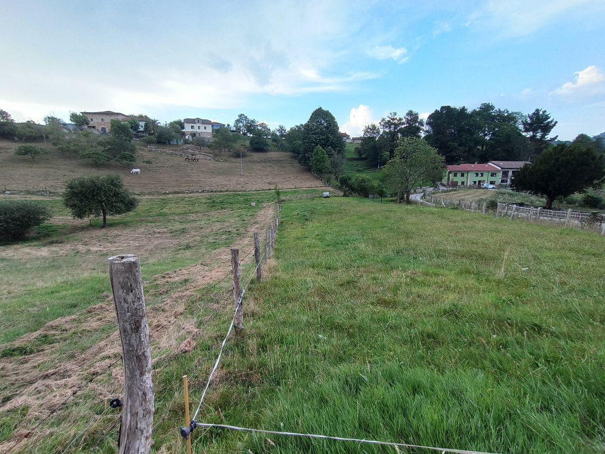 For sale of land in Piloña