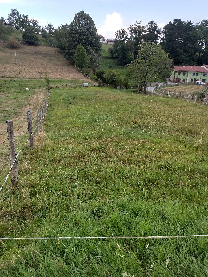 Venta de terreno en Piloña