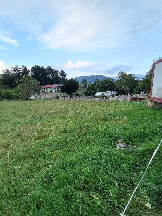 For sale of land in Piloña