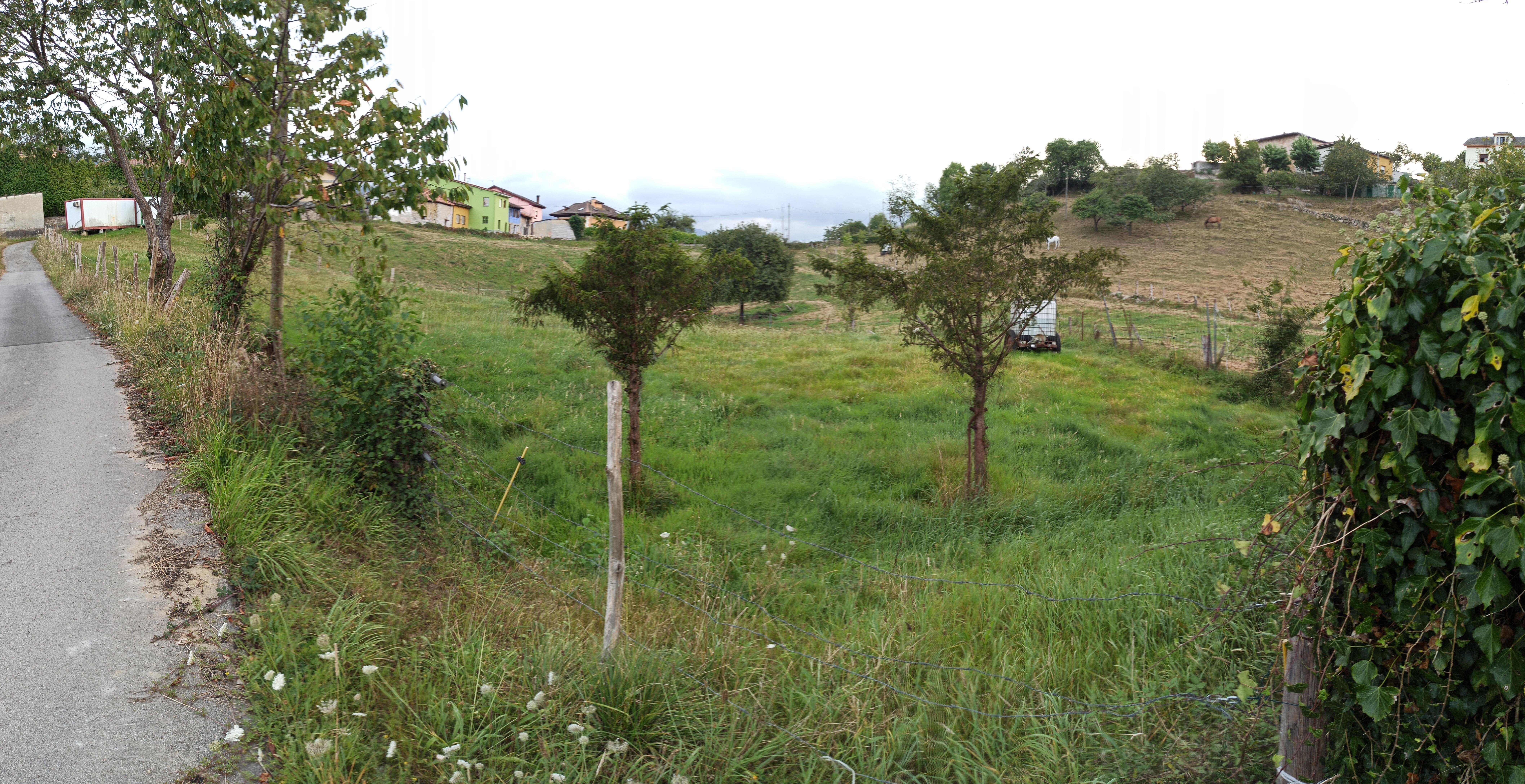 For sale of land in Piloña