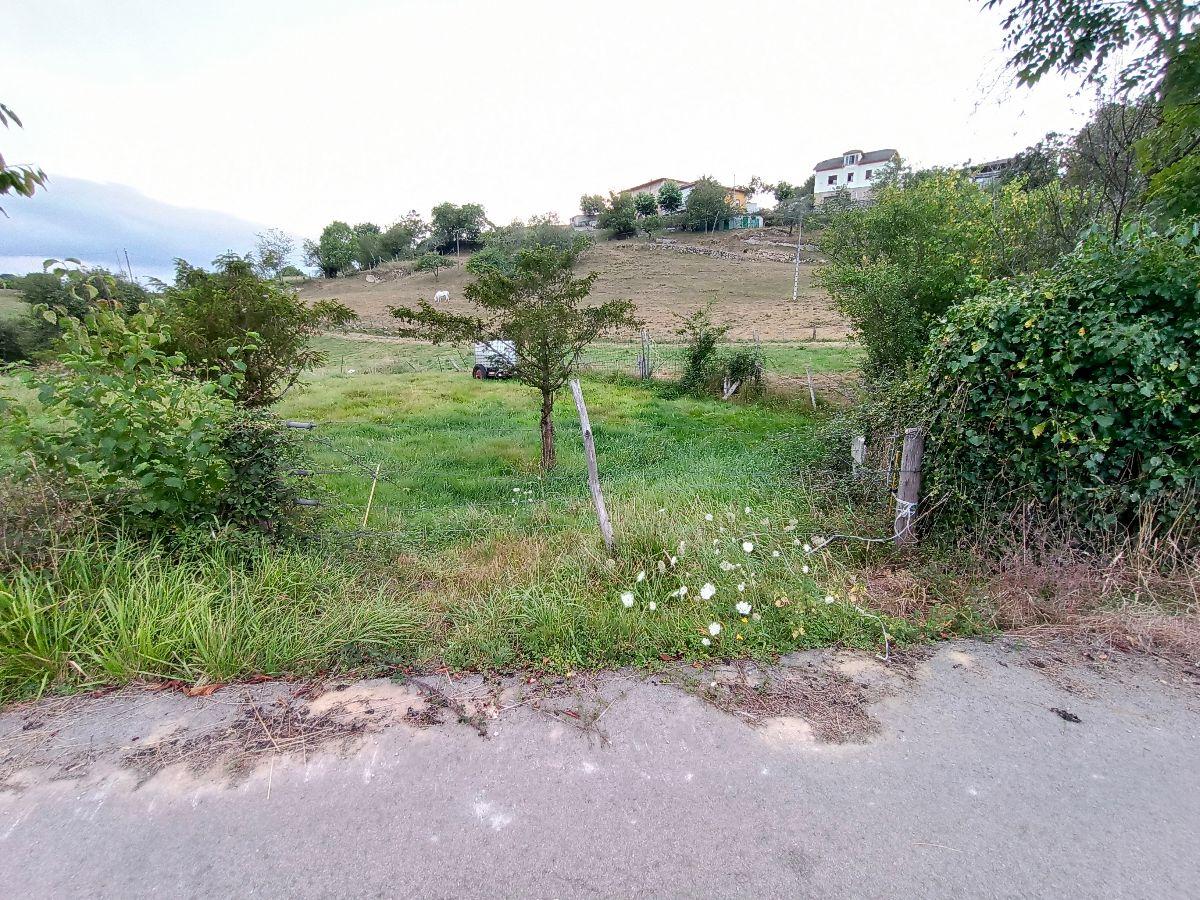 For sale of land in Piloña