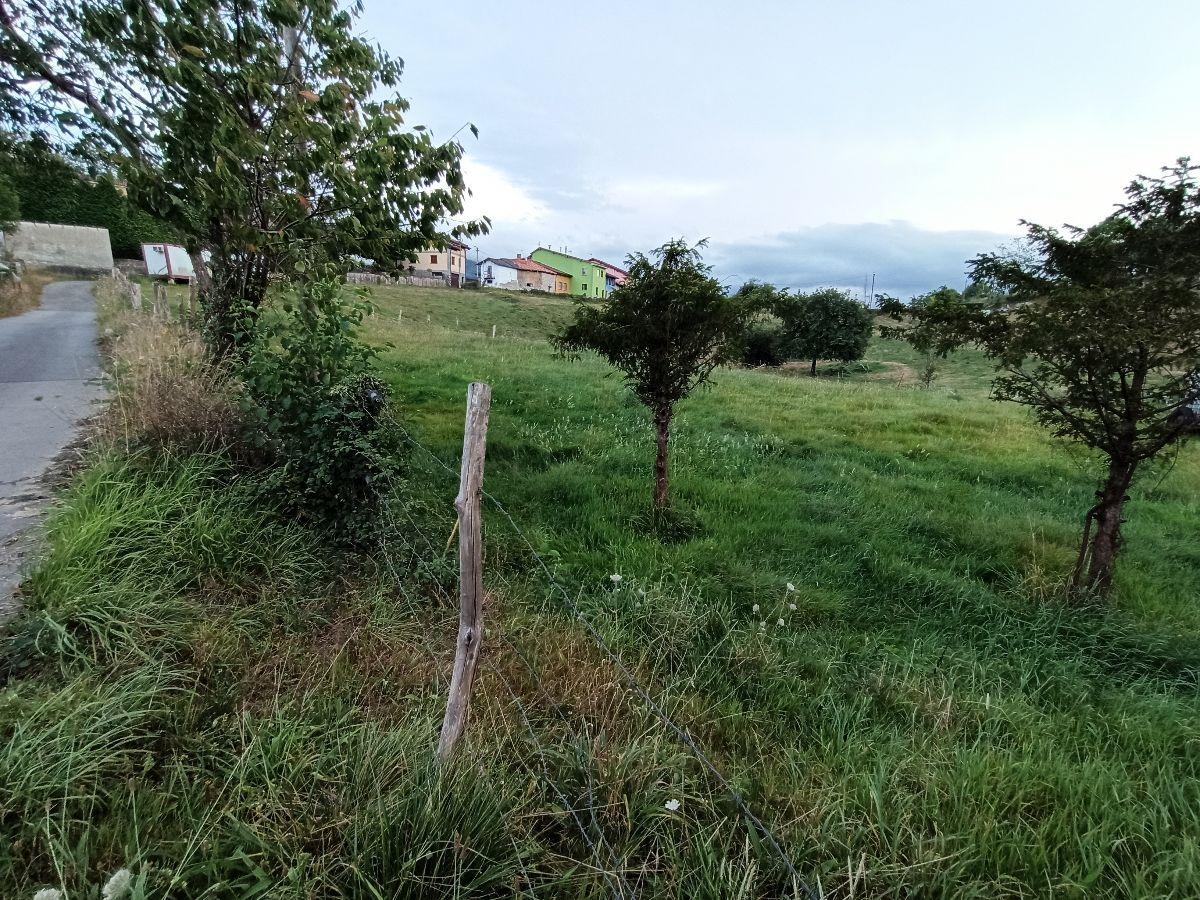 For sale of land in Piloña