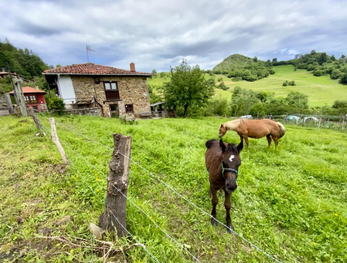 Venta de casa en Piloña