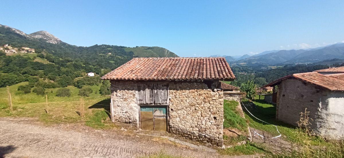 Venta de terreno en Piloña