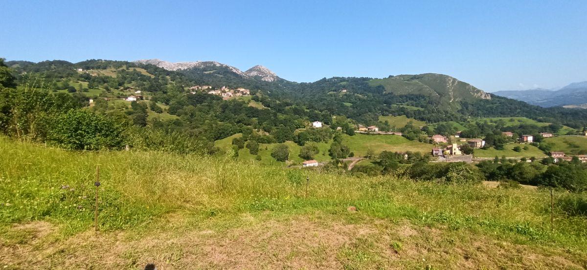 Venta de terreno en Piloña