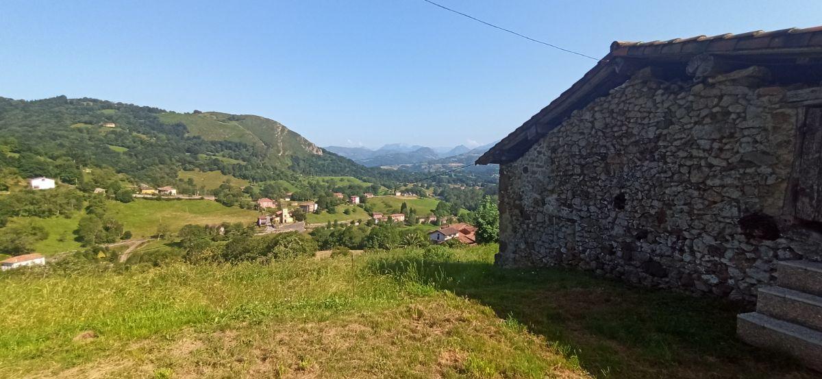 For sale of land in Piloña
