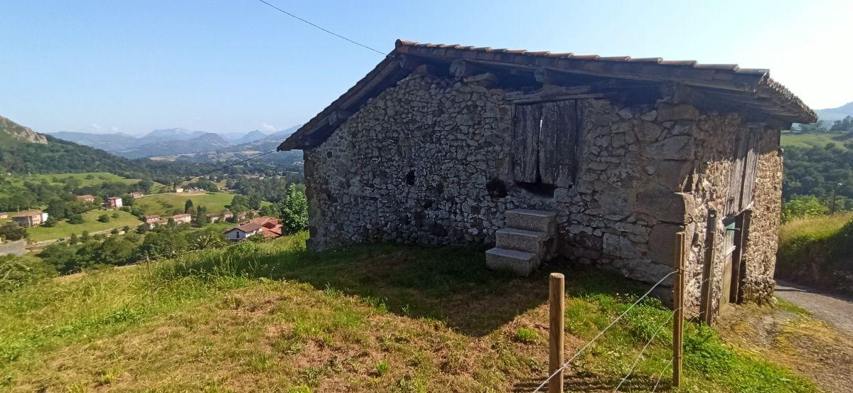 Venta de terreno en Piloña