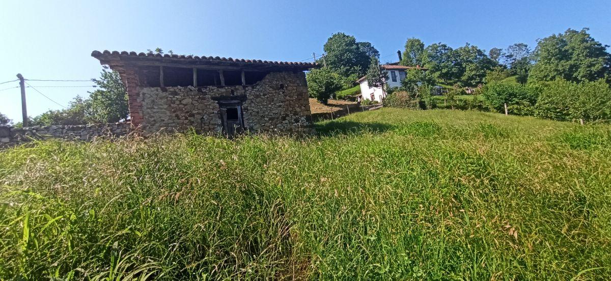 Venta de terreno en Piloña