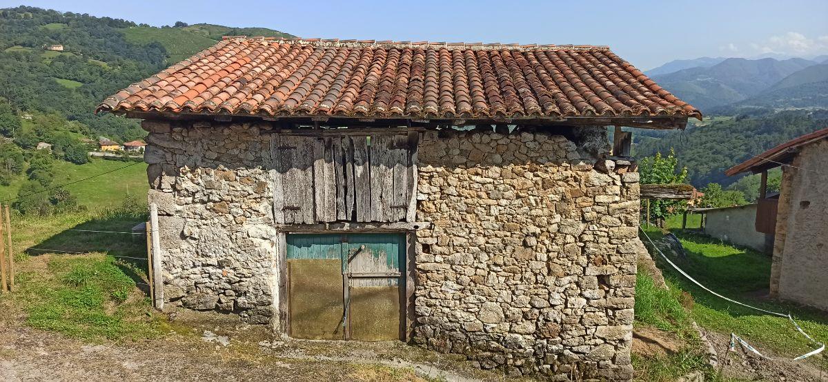 Venta de terreno en Piloña
