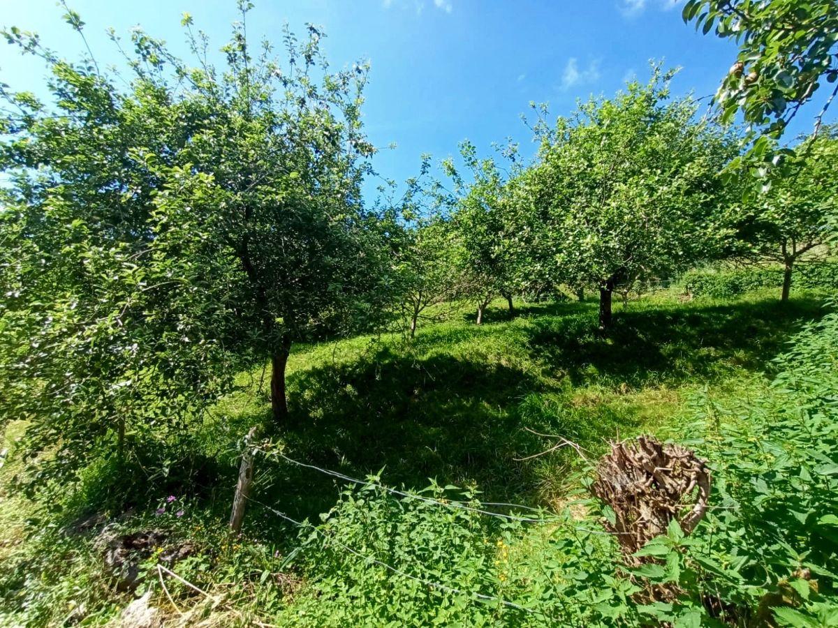 Venta de terreno en Piloña